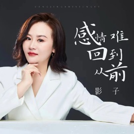 感情难回到从前 (伴奏) 影子