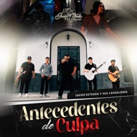 Antecedentes de culpa - Single - Javier Estrada y Sus Chavalones