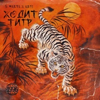 Ходит тигр - Single - 1996, D.masta & Цепi