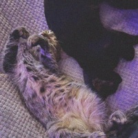 Как мы любим - Single - Yung Katro & Madel