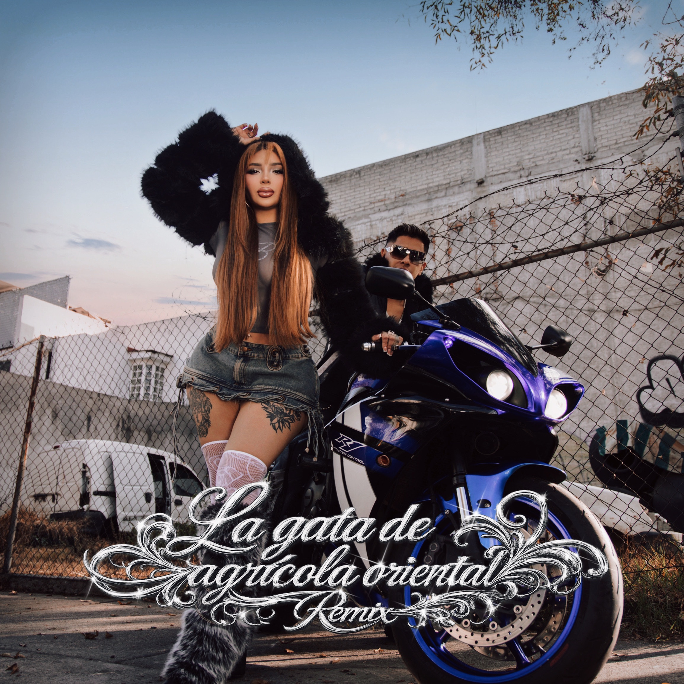 La Gata de la Agrícola Oriental (feat. Kery) - Single by Bellakath album cover