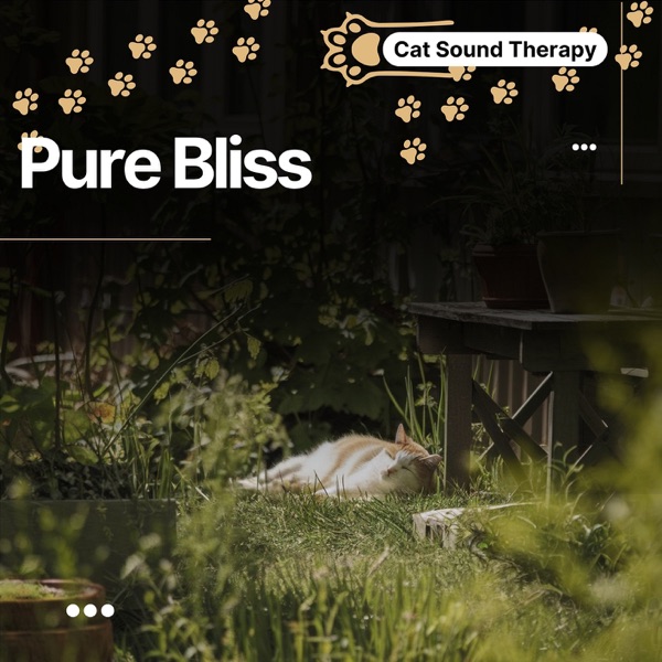 Cat Sound Therapy: Moments of Serenity, Pure Bliss