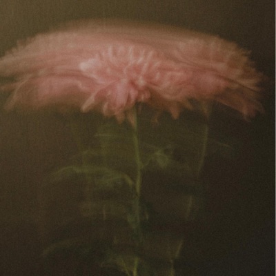 ALL MY LUV (feat. DRTYLAUNDRY) - Single