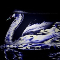 Swan LakE - Single - DXITH