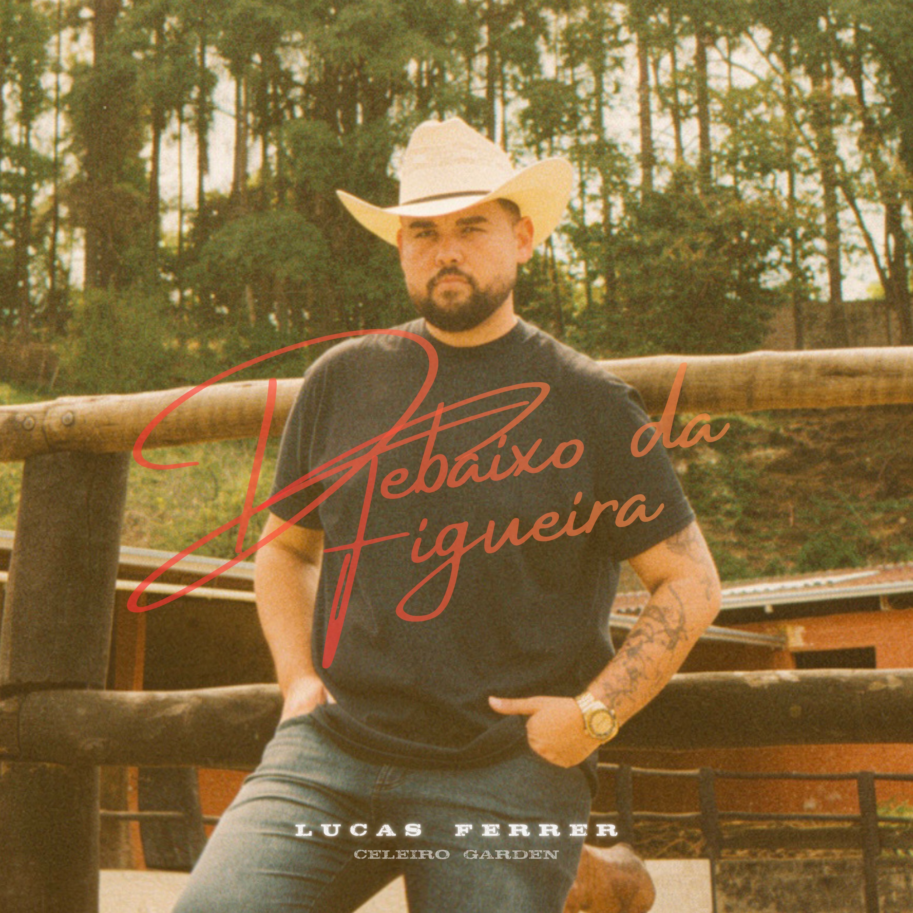 Debaixo da Figueira - Single