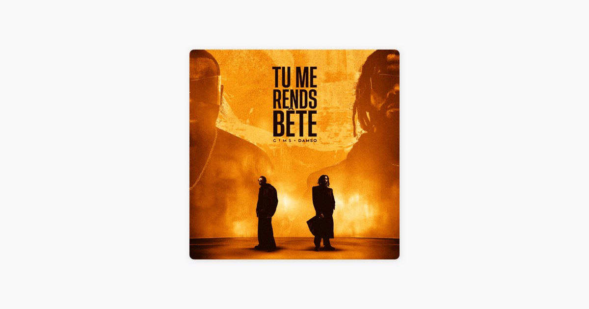 TU ME RENDS BÊTE - GIMS & Damso
