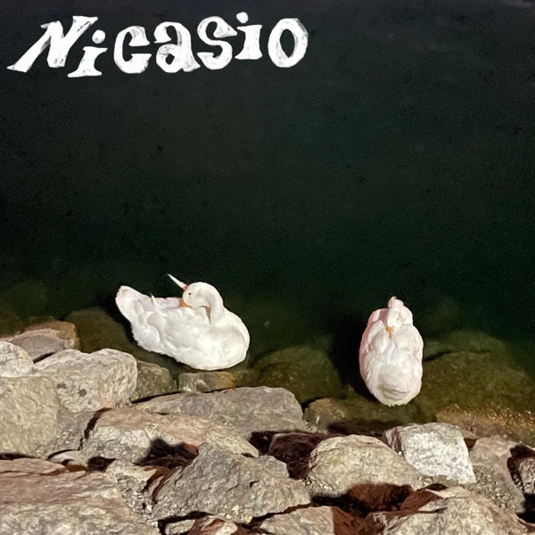 Nicasio (Demo)