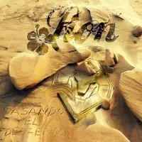 Alegra Mi Vida — Lion RFC