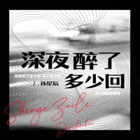 深夜醉了多少回 - Single - 孙星辰