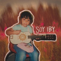 Un Millón de Primaveras - Single - Soyiby