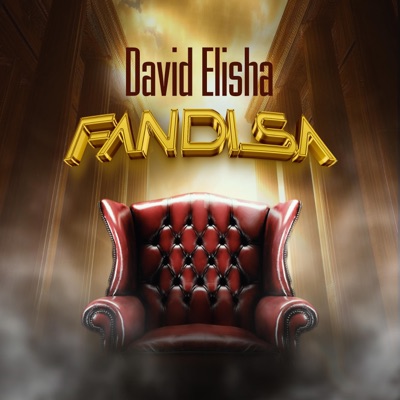 Fandisa - Single