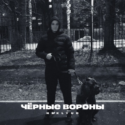 Чёрные вороны - Single