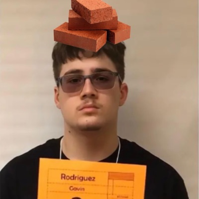 Sellin Bricks - Single