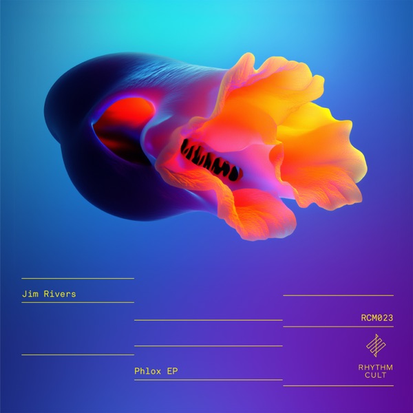 Phlox - Single