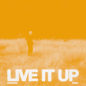 LIVE IT UP (Bushbaby Remix) - 33 Below Cover Art