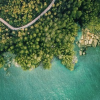 Inhabitants - Single - Flica