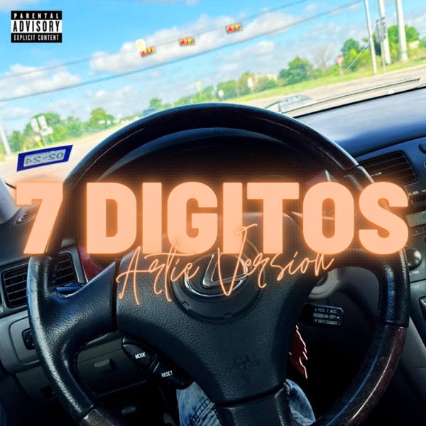 7 Digitos