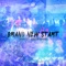 Brand New Start (feat. Sebastian Hansson) [Extended Mix] artwork