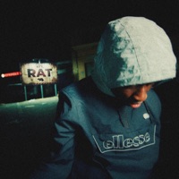 Rat - Single - KFT.
