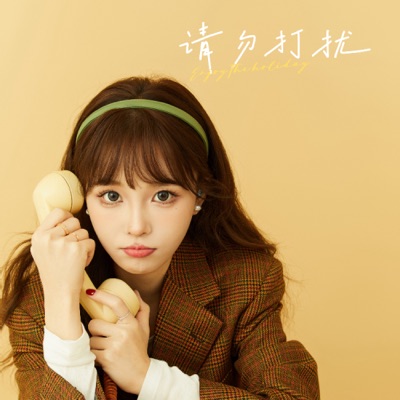 请勿打扰 - Single