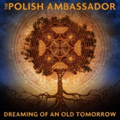The Polish Ambassador - Chill or be Chilled