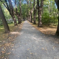 Association de MC's contre le clergé (Remastered 2025) - EP - Crise2nerf, Ардженто, Eddy Kuhl, Perfect K, Fabzen, Dropé MD, Onse TSW, Sikadelik, LaSombra, Torture Lyrics, Hemera & Weelow