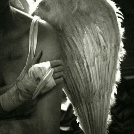 body (feat. raine's reverie) sicksins