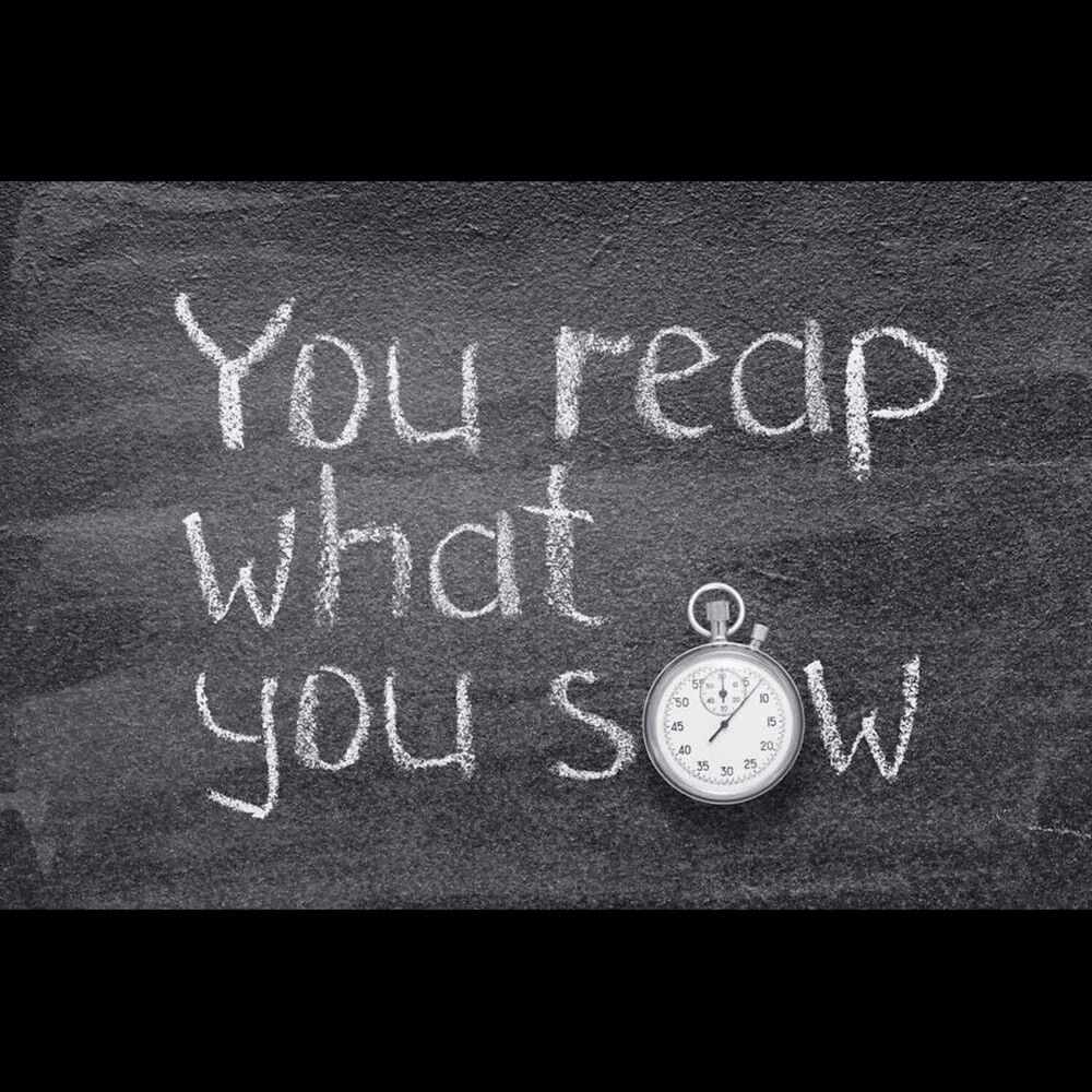 Обложка альбома «Reap What You Sow - Single» — Aceav