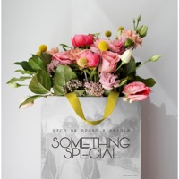 Something Special - Single - Vico Da Sporo & Zelule zn