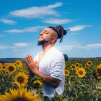 Fly Away - Single - JuLeo