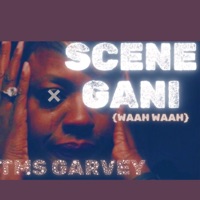SCENE GANI (WAH WAH) - Single - TMS GARVEY