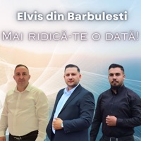 Mai ridică-te o dată! - Single - Elvis din Barbulesti