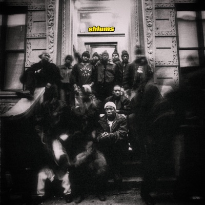 shlums (feat. PeTerXon) - Single