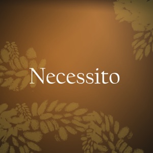 Necessito
