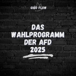 Das Wahlprogramm Der AfD 2025