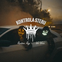 Kontrola steru (feat. M.Peny RSG) - Single - Radziu RSG & Vin Vinci