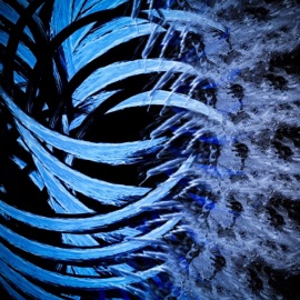 rigid forces Palin Drome