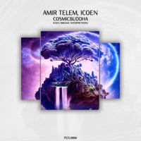 Cosmicbuddha (Icoen Original Interpretation) - Single - Amir Telem & iCoen