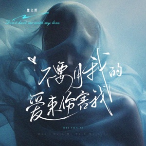 Don't Hurt Me With My Love - Single