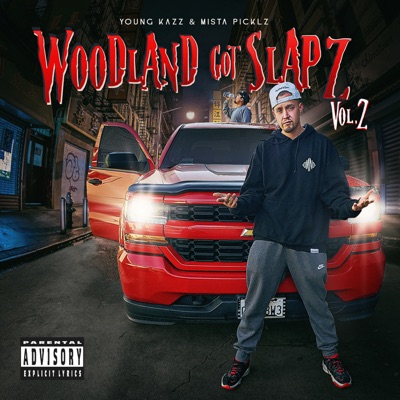 Woodland Got Slapz vol.2
