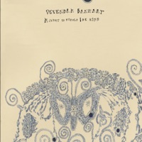 A Sight to Behold - Single - Devendra Banhart