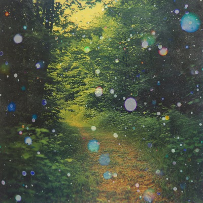 summer rain - Single