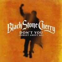 Don't You (Forget About Me) (Feat. Tyler Connolly of Theory of a Deadman) - Single - Black Stone Cherry, Tyler Connolly & Theory of a Deadman