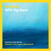 Bluegrass (feat. Darol Anger & Mike Marshall) [Live Radio Show Recording (Directed by Bob Mintzer)] - WDR Big Band