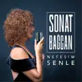 Nereye Gidiyorsun