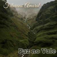 Feliciano Amaral - Paz no Vale