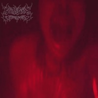 Bury Me (feat. DFHS) - Single - Nolongeradalia