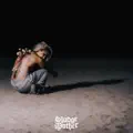 I Don't Want A Job