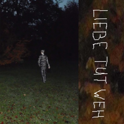 LIEBE TUT WEH - Single