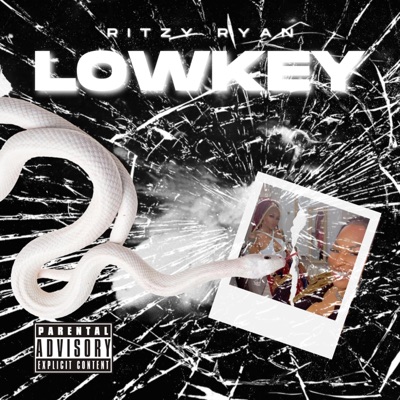 Lowkey - Single